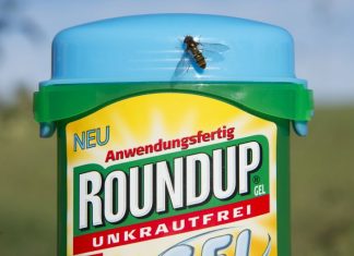 Monsanto vai pagar indemnização de 81 milhões de dólares por cancro ligado ao Roundup