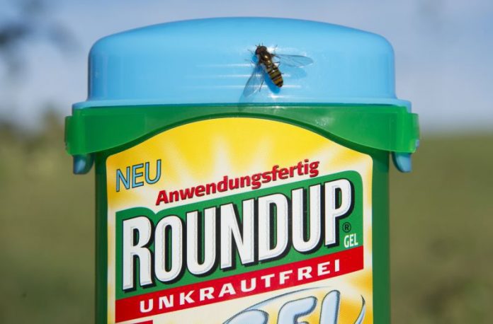 Roundup