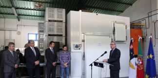 Açores são a região do país com maior investimento aprovado na área do Mar