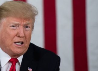 Donald Trump utilizou veto para financiar muro na fronteira com o México