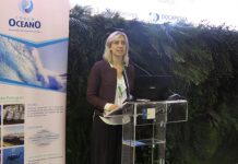 Turismo Náutico reforça a importância do mar no desenvolvimento do turismo dos Açores