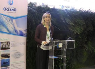 Turismo Náutico reforça a importância do mar no desenvolvimento do turismo dos Açores