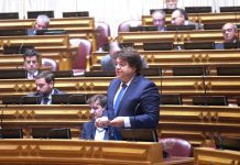 Assembleia da República – João Castro apresenta medidas de proteção ao setor do leite