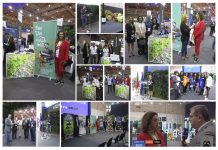 Município da Madalena Aplaudido Na Bolsa de Turismo de Lisboa