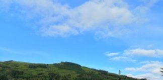 Salomon Trail Camp 2019 é exemplo da aposta do Governo dos Açores em eventos ligados à natureza ativa