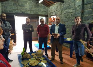 Projetos de Investigação&Desenvolvimento em contexto empresarial nos Açores representam investimento de 2 ME
