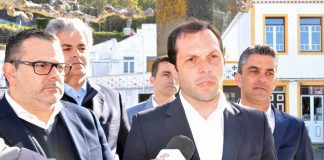 PSD/Açores agenda debate de urgência sobre perda de rendimento dos produtores de leite