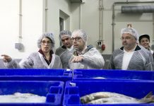 André Bradford satisfeito com proposta do Parlamento Europeu em aumentar verbas para as Pescas