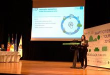 Energia é vetor fulcral na construção de cidades inteligentes, afirma Diretora Regional