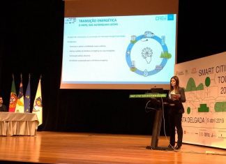 Energia é vetor fulcral na construção de cidades inteligentes, afirma Diretora Regional