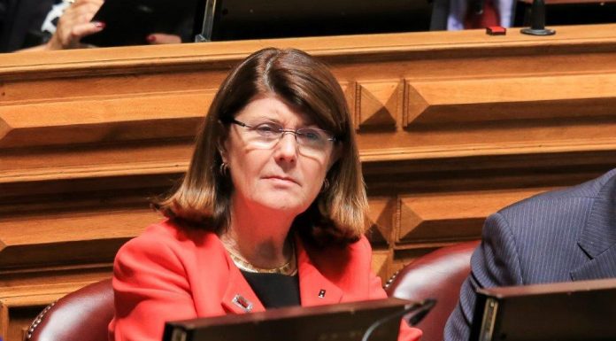 Berta Cabral anuncia avião cargueiro nos Açores no final do verão
