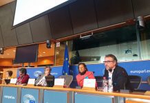 FPA defende discriminação positiva da pesca de pequena escala no Parlamento Europeu