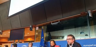 FPA defende discriminação positiva da pesca de pequena escala no Parlamento Europeu