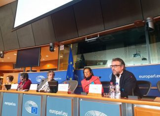 FPA defende discriminação positiva da pesca de pequena escala no Parlamento Europeu