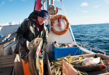 Erro da Segurança Social tira anos de reforma a centenas de pescadores