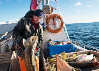 Erro da Segurança Social tira anos de reforma a centenas de pescadores