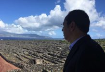 Governo dos Açores congratula-se com alargamento do seguro vitícola de colheita aos Açores