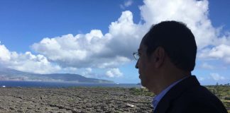 Governo dos Açores congratula-se com alargamento do seguro vitícola de colheita aos Açores