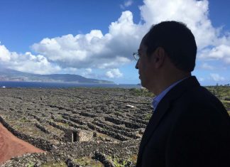 Governo dos Açores congratula-se com alargamento do seguro vitícola de colheita aos Açores