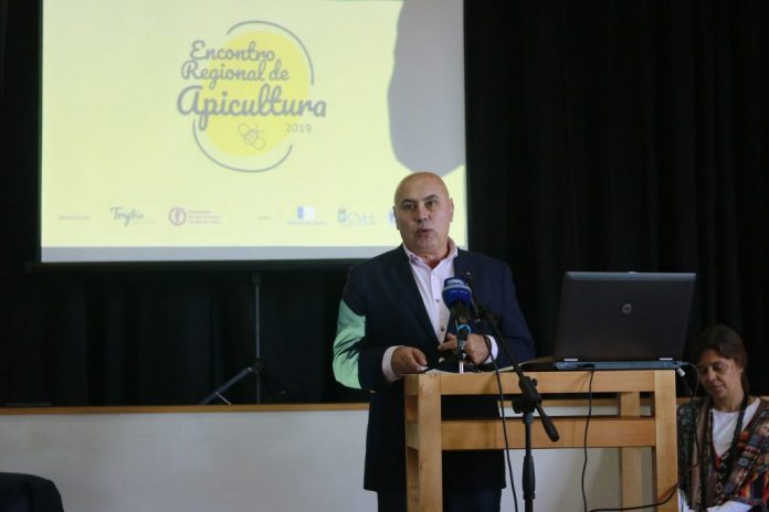 apicultura