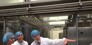 Política de eficiência energética está a ser construída no terreno com os Açorianos