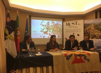 Congresso anual Wine Summit 2019 encerra com viagem ao Pico