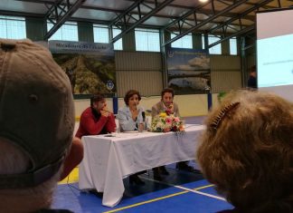 Andreia Cardoso apresentou anteproposta de lei para os “Chãos de Melhoras” na freguesia de Santo António