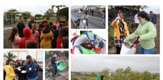 Municípios da Ilha do Pico de Mãos Dadas Pelo Meio Ambiente
