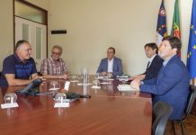 Cultura do café nos Açores tem potencial para crescer e gerar riqueza, afirma João Ponte