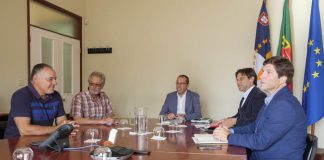 Cultura do café nos Açores tem potencial para crescer e gerar riqueza, afirma João Ponte