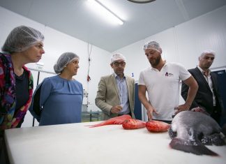 Utilização de Fundos Comunitários permitiu criar oferta e atividade comercial que não existia nos Açores, lembrou André Bradford