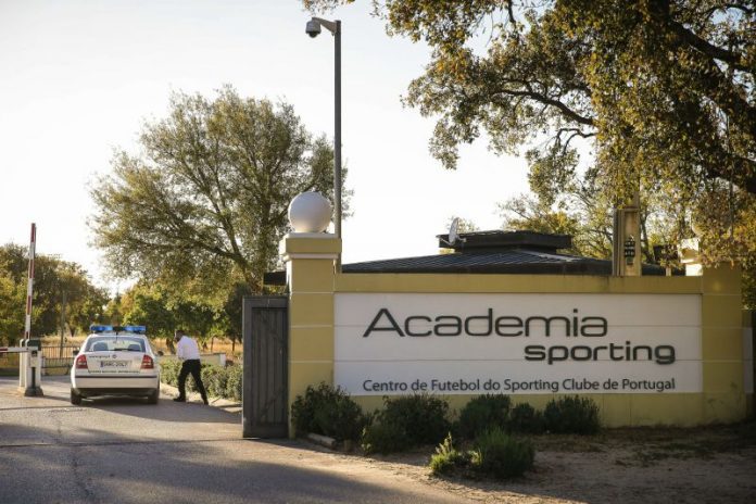 Academia