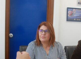 Bloco de Esquerda – Política de privatizações é uma “grande irresponsabilidade”