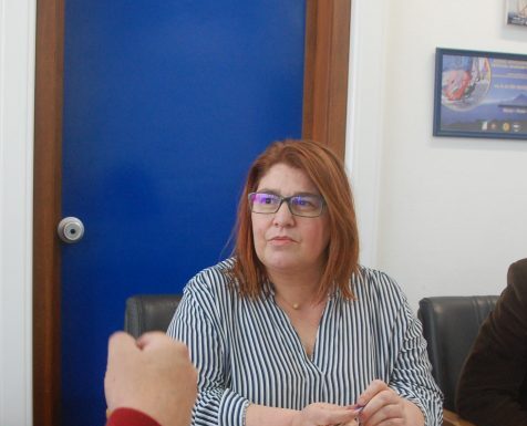 Bloco defende programa de esterilização de animais de companhia permanente e gratuito