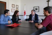 Eleições Europeias 2019: Andreia Vasconcelos defende apoios europeus a projetos de economia social