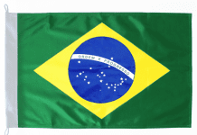 Decreto facilita porte de armas para políticos, advogados e motoristas de camiões no Brasil