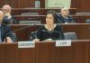 CALRE – Ana Luís participa na reunião sobre Desigualdades nos Sistemas Sociais e de Saúde Europeus