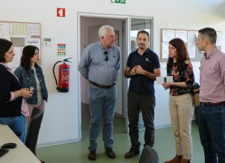 Europeias 2019: Andreia Vasconcelos defende que energias renováveis devem merecer atenção da Europa