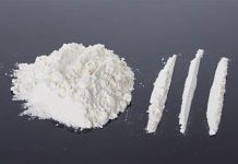 Encontrada cocaína em livros infantis importados de Portugal para Sidney