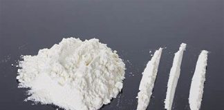 Encontrada cocaína em livros infantis importados de Portugal para Sidney