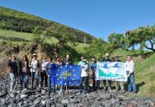 LIFE VIDALIA – Projeto reúne voluntários para conservação da Azorina vidalii no Monte da Guia