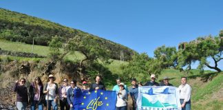 LIFE VIDALIA – Projeto reúne voluntários para conservação da Azorina vidalii no Monte da Guia