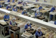 Governo dos Açores admite atraso no caderno para privatizar conserveira Santa Catarina