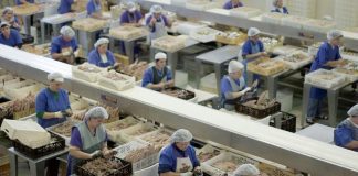 Prejuízos da Conserveira Santa Catarina caem 33% para 976 mil euros em 2018