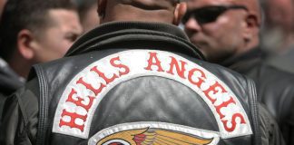 Hells Angels: Dezassete detenções efetuadas hoje em buscas da PJ
