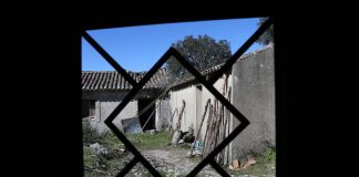 Publicada lei que agrava IMI para prédios devolutos em zonas de pressão urbanística