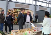 Centro de Acolhimento Empresarial da Horta – Mercados Municipais são fundamentais para a promoção dos produtos agrícolas