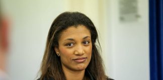 Terceira – PSD questiona Governo sobre extinção de regime especial de incentivos