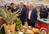 Venda dos produtos Marca Açores aumenta 27% no último ano, revela Sérgio Ávila