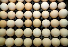 ASAE apreende mais de 400 mil ovos